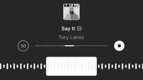 #sayit #torylanez #song #foryou 