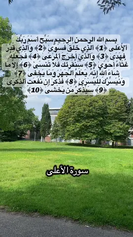 #سورة_سبح#سورة_الغاشية #سورة_الفجر #islamic_video #islamic #fyp #fouryou #videoviral 