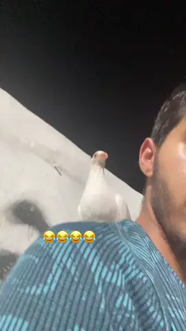 #الشعب_الصيني_ماله_حل😂😂 