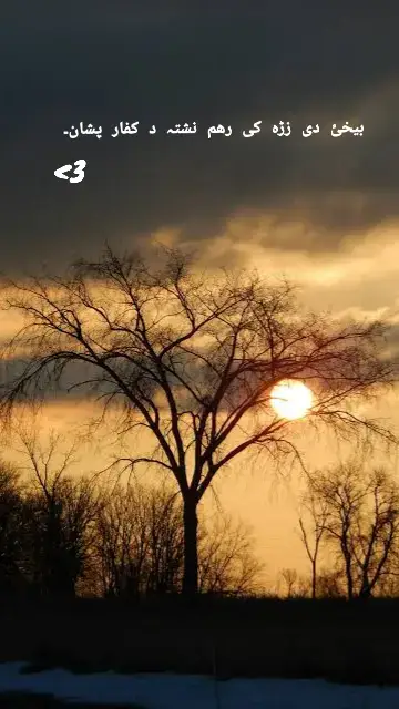 🫂🥺 #welovetosmile #autumnviews #wenaturelovers #1millionaudition #welovenature #layseverywhere #Tamasha4OnAry