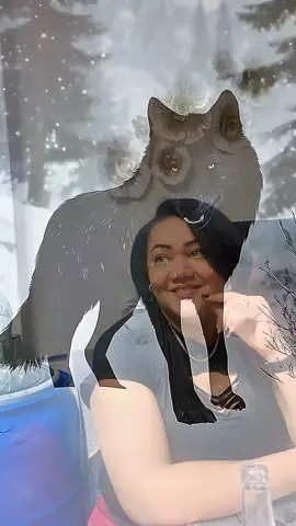 #CapCut 