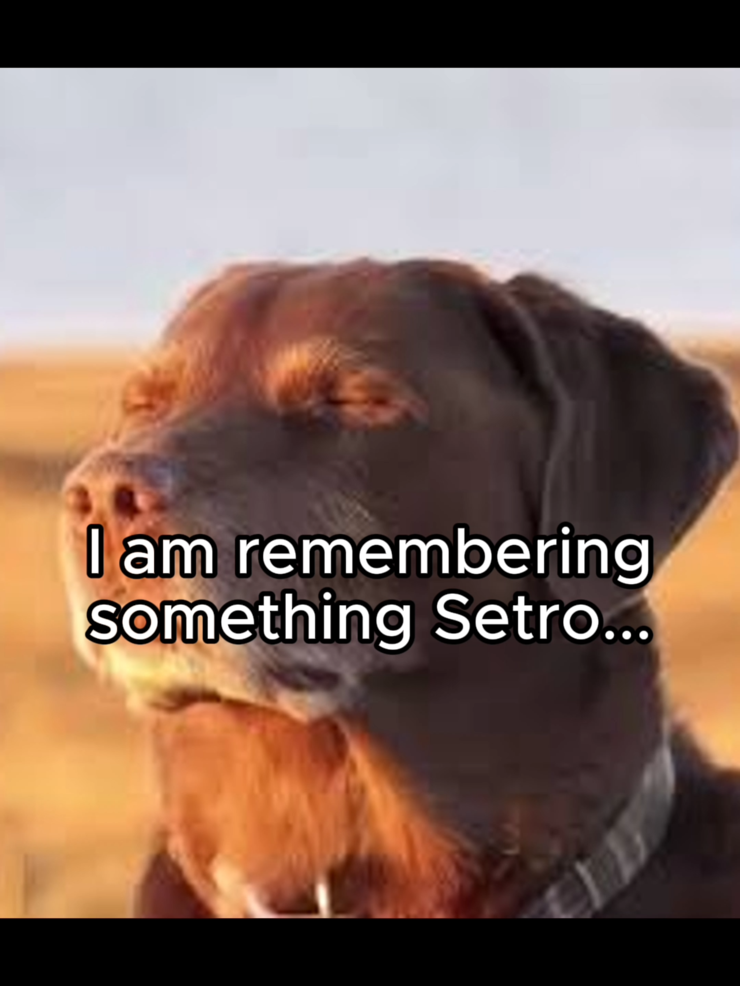 Vow of Sacrifice needs to be looked at... #roblox #robloxfyp #robloxmontage #typesoul #typesoulroblox #bleach #typesouledit #letmeknow #future #setro #setroboomin