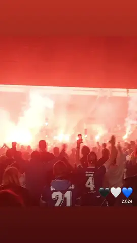 Arminia Bielefeld 🖤🤍💙 #arminiabielefeld #bielefeld #pyro #ultra #fan #tifosi #düsseldorf #liga2 #bundesliga 
