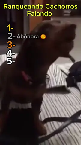 Top 5 Cachorros Falando  #top5 #engraçado #cachorro 