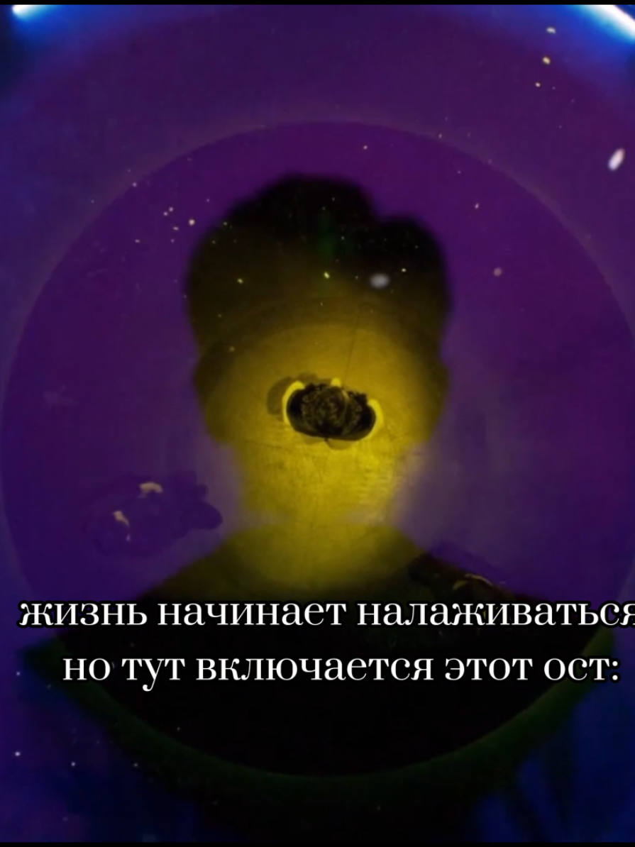 моя любимая, ненавижу её.. #дорама #дьявольскийсудья #theeviljudge #сонджи #джинён #kimgaon #kangyohan #jungsunah #kdarama #trending #мило #edit 