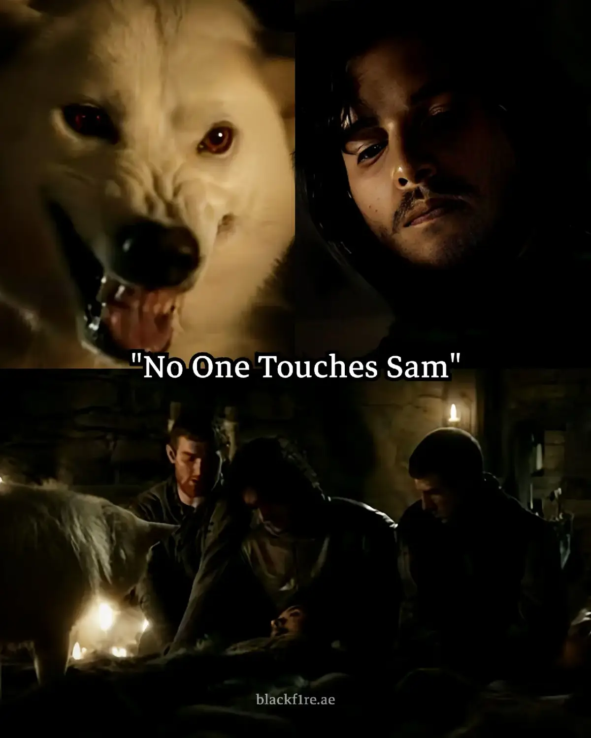 #gameofthrones #got #jonsnow #samwelltarly #ghost #direwolf #foryou #viral #fyp 