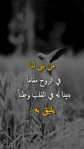 #عبارات_جميلة_وقويه😉🖤 #تصميم_فيديوهات🎶🎤🎬 #عبارتكم_فخمة🖤💉🥀 