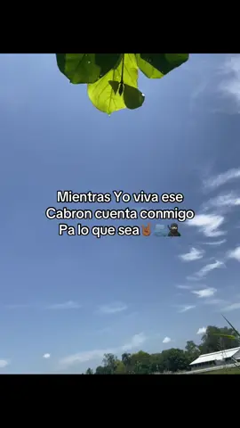 #Tiktokviralll @González 