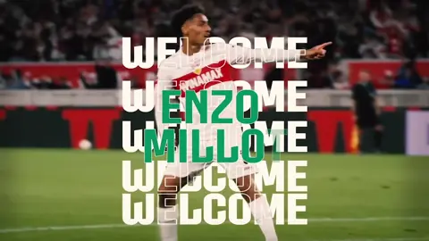 ميلوت اختارنا 💚👑  #ميلوت_أهلاوي ‏Millot chose us 💚👑 ‏#MillotAhlawi