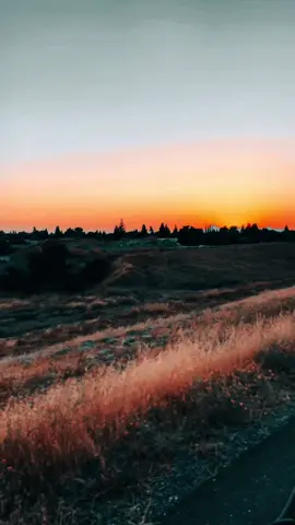 C’mer 🙂‍↕️ #biker #moto #fyp #sunset #bikergirl #motorcycle #foryou 