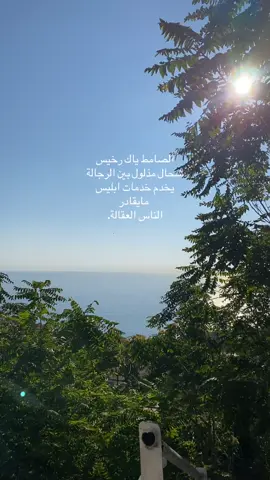 مايميز ولا يقيس… don’t ask me why I’m obsessed with chaabi #dahmaneelharrachi #algeroise #algeria🇩🇿 #chaabialgerie🇩🇿🇩🇿🇩🇿 