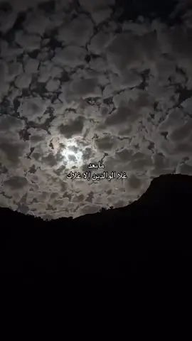 #اكسبلور 