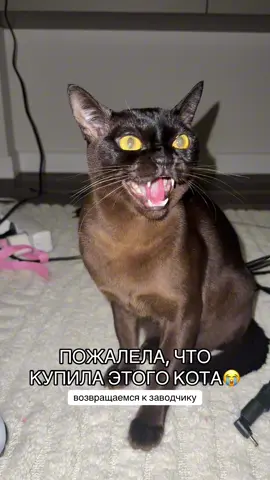 Как бы вы поступили на моем месте? 
