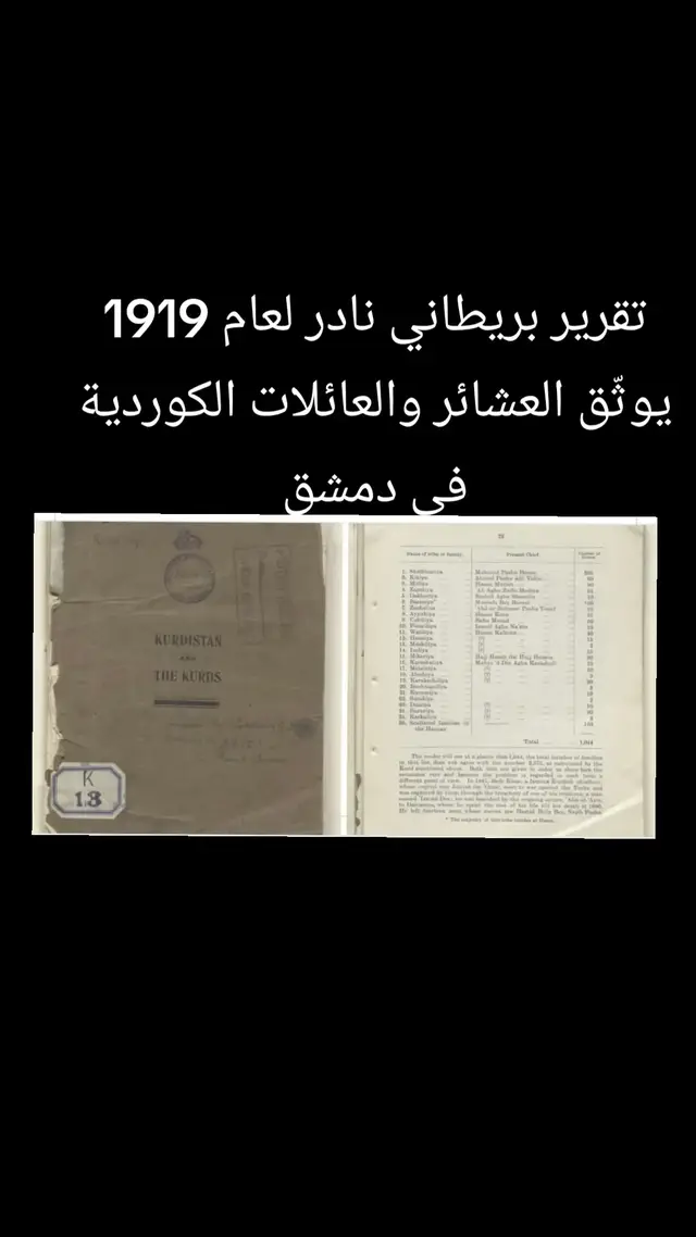 كشف تقرير إحصائي أصدرته وزارة الحرب البريطانية عام 1919 عن للعشائر والعائلات الكوردية المقيمة في دمشق ومحيطها، متضمّنًا أعداد العائلات وأسماء رؤسائها ، إضافةً إلى قوائم موسّعة بأسماء العائلات البارزة المنتمية لكل عشيرة.  العشائر الكوردية في دمشق (1919): الشيخانية: 225 عائلة، يرأسهم محمود باشا بوزو. كيكية: 60 عائلة، يرأسهم أحمد باشا أجليقين. ملية: 80 عائلة، يرأسهم حسن ملا. زازاكية: 35 عائلة، يرأسهم علي آغا زلفو مدينة. دقورية: 10 عائلات، يرأسهم رشيد آغا شمدين. برازية: 150 عائلة، يرأسهم مصطفى بك برازي. زركية: 10 عائلات، يرأسهم عبد الرحمن باشا يوسف. أيوبية: 55 عائلة، يرأسهم حسن كوس. آشيتية: 50 عائلة، يرأسهم بابو مراد. بينار علية: 10 عائلات، يرأسهم إسماعيل آغا نعمو. وانلية: 40 عائلة، يرأسهم حسن كالطون. حسنان: 15 عائلة، (الرئيس غير مذكور). موشلية: 5 عائلات، (