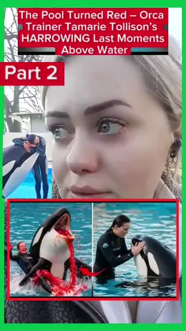 #creatorsearchinsights The Pool Turned Red - Orca Trainer Tamarie Tollison's HARROWING Last Moments Above Water#free #ukraine #UKNews #Russia #uknews #solidarity 