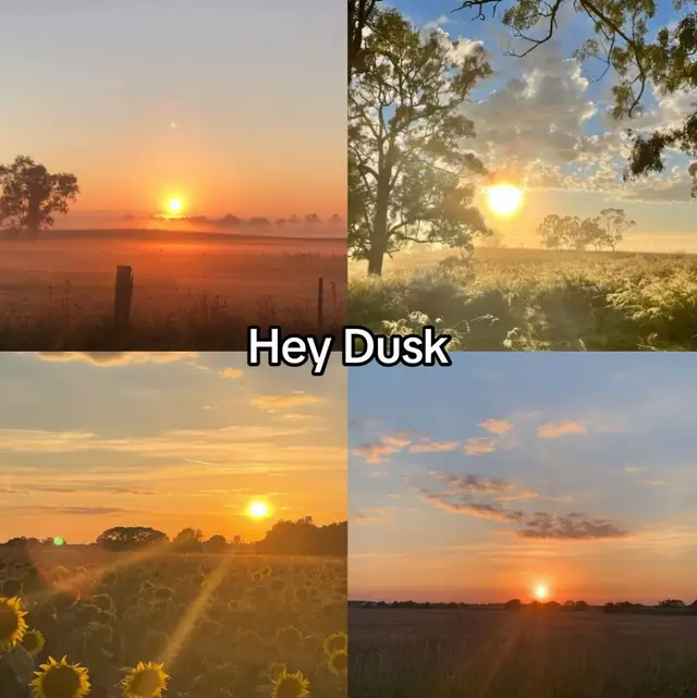 #dawn #dusk #fyp #goldenhour 