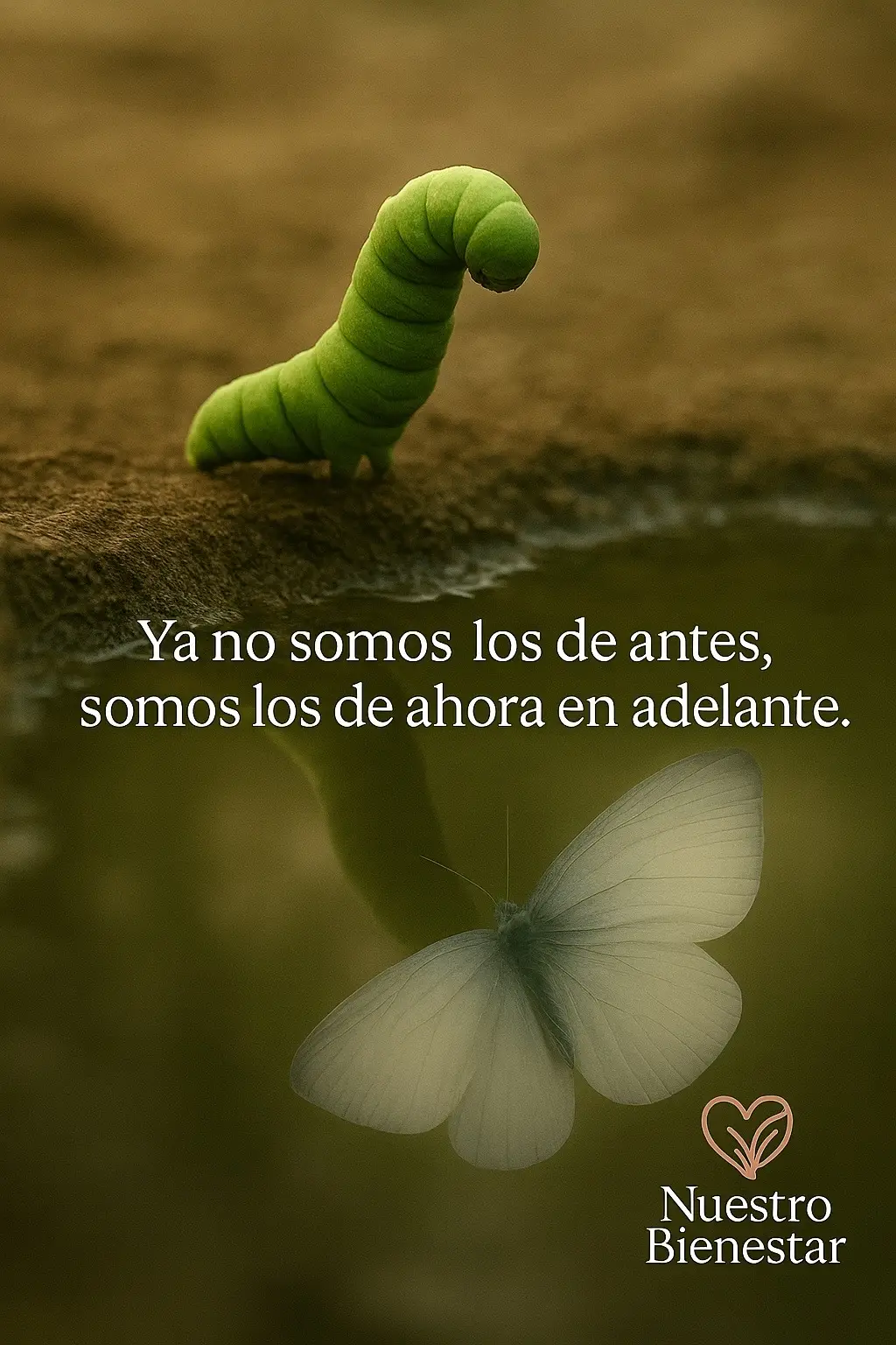 A veces, crecer significa dejar atrás partes de ti que alguna vez amaste… No porque fueran malas, sino porque ya no encajan con la persona en la que te has convertido. Mírate hoy… ya no eres quien fuiste. Eres más fuerte, más sabio, más tú. Y aunque duela, transformarse siempre vale la pena. 🦋✨ #Renacer #CrecimientoPersonal #NuestroBienestar #Transformación