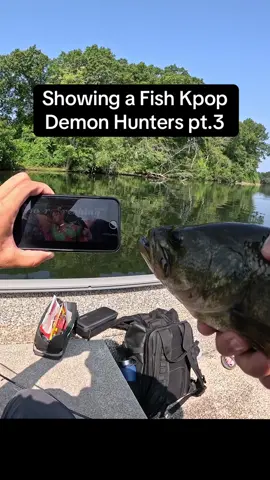 Good thing there’s so many songs left of the movie to educate fish about. I can do like three more parts. The fish was released a ok btw. #bass #kpopdemonhunters #jinu #netflix #fishing 