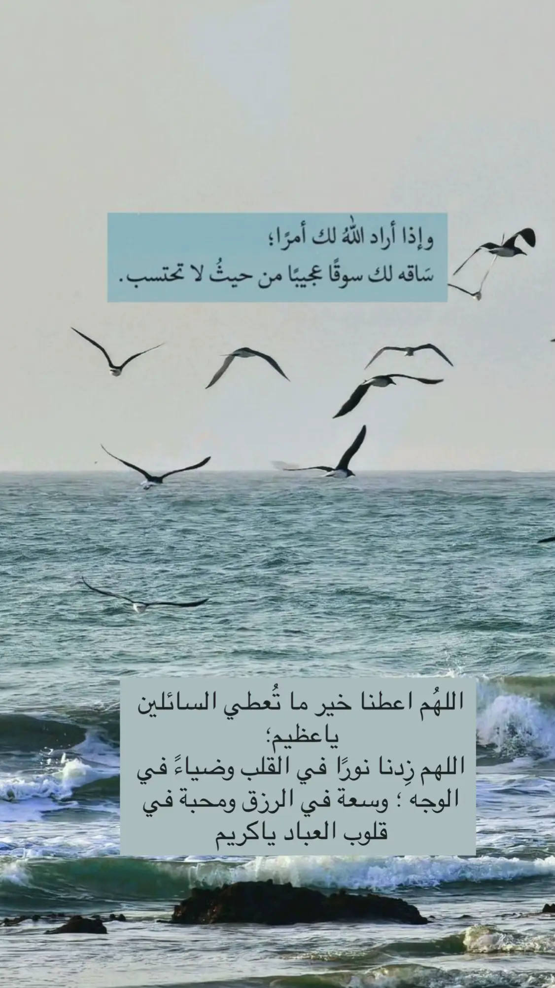 #سبحان_الله_وبحمده #حسن_الخلق #حسن_الخلق_مع_الناس #الخير #لا_اله_الا_الله_محمد_رسول_الله #explore #اكسبلورexplore #اكسبلور #مقطع #تصميم 
