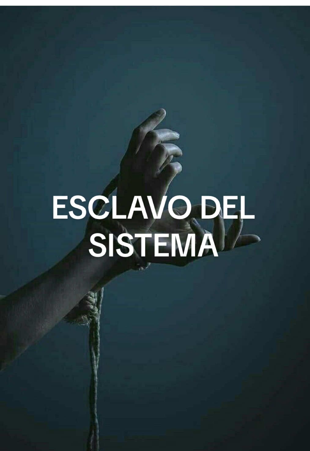 Te invito a cuestionarte. Entender al “pobre de derecha” no es burlarse, es descubrir como el sistema logra que muchos amen las cadenas que los oprimen.  Una victoria más del sistema sobre la conciencia. En fin, la hipotenusa. #perspetivaglobal #mexico #politica #pobre #derecha #comunismo   