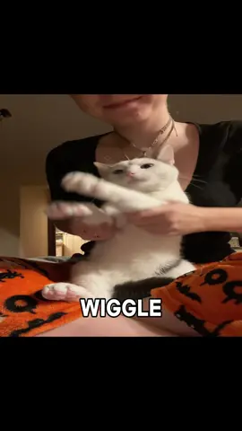 WOBBLY WIGGLY WOOBLY WIGGLY 🗣️🗣️🗣️🗣️ #cat #cattok #cutecat #sillycat #travisscott #travis #scott #rap #hiphop 