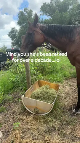 #ottb 