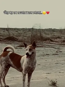 সত্য#vairal_video_tiktok_foryou_page #vairal #foryoupage #vairal_video_tiktok #pi_ku 