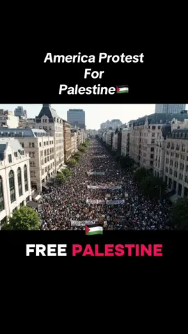 America protesting for Palestine🥹Free Palestine #palestine #freepalestine #protest #goviral #fyp