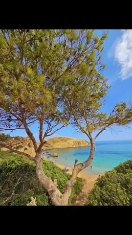 الشاطئ الجميل و الرائع و المنعزل: شاطئ المخلد @JaFaR 🌿 #tlemcen 