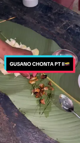 ¿Los probarías?🐛 Gusano 🪱 chonta de la amazanía de Ecuador 🇪🇨 en nuestro viaje con @redbeaktrips.  🏹 ¿Cómo lo consiguen los pueblos indígenas? 	•	Comunidades como los kichwas y shuar saben que el escarabajo pone huevos en palmas podridas. 	•	Derriban palmas (generalmente seleccionadas), las dejan descomponerse naturalmente y regresan semanas después a recolectar las larvas gorditas. 	•	Lo consideran un ciclo sagrado: “de la muerte de la palma nace alimento para el pueblo”. 🌿✨ ⸻ 🍽️ ¿Cómo se come? 	•	¡Crudo, asado o frito! 	•	Crudo tiene sabor mantequilloso y textura jugosa (si te atreves 🤤). 	•	A la parrilla se tuestan hasta quedar crujientes por fuera y cremositos por dentro. 	•	En fiestas como la Chonta Raymi, son protagonistas del menú tradicional. ⸻ 🌱 Beneficios nutricionales: 	1.	💪 Altísimo en proteínas — ideal para la dieta amazónica. 	2.	🧠 Rico en ácidos grasos Omega 3 y 6. 	3.	💥 Fuente de vitamina A, hierro y zinc. 	4.	Es un súper alimento sostenible: se cría con poca agua, sin fertilizantes, ¡y hasta regenera el suelo! ⸻ 🧠 Datos curiosos: 	•	Se considera un afrodisíaco natural en la Amazonía 🐍💘. 	•	Algunos turistas le llaman el “caviar amazónico”. 	•	Aparece en ferias como la de Puyo o Tena, y es orgullo de la gastronomía ancestral ecuatoriana. #ecuador #chonta #viajar #comida #amazonia 