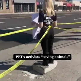 #animal #liberation #front #alf #animalliberation #animalliberationfront #peta 