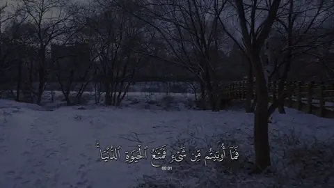سورة #الشورى | #احمد_عبدالرزاق_نصر 