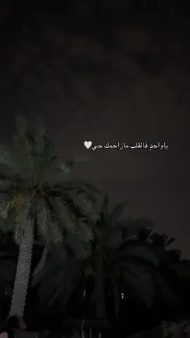 #احبك #♥️ #fy 