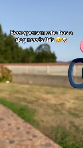 Every person who has a dog needs this 😳🐶 #DogSafety #AirTagForDogs #Pawtag #DogLovers #PetTracker #DogCollarHack #SafeDog #LostDogPrevention #SmartDogGear #EveryDogNeedsOne is the perfect AirTag holder for dog collars