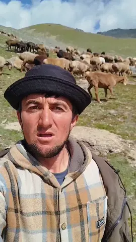 🇹🇯 🇹🇯 🇹🇯 🇹🇯 🇹🇯 