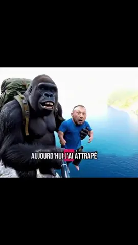 est ce qu'un nain sait nager ? #ia #gorilla 