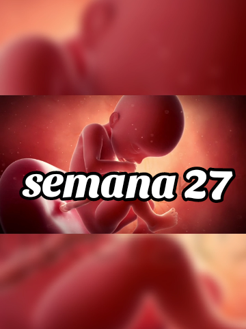pregnancy #pregnancy  #mom  #embarazo  #mamita  #parati  #baby 