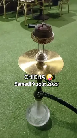 #chicha #lemura #pourtoii 