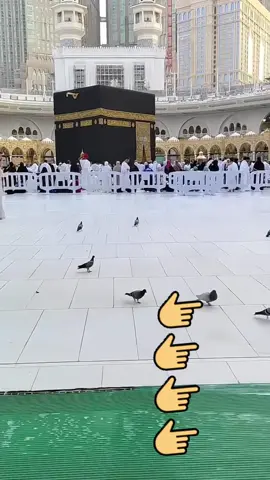 Mashallah 🤲Mashallah 🤲Mashallah 🤲Mashallah 🤲Mashallah 🤲Mashallah 🤲Mashallah 🤲Mashallah 🤲Mashallah 🤲Mashallah 🤲Mashallah 🤲Mashallah 🤲