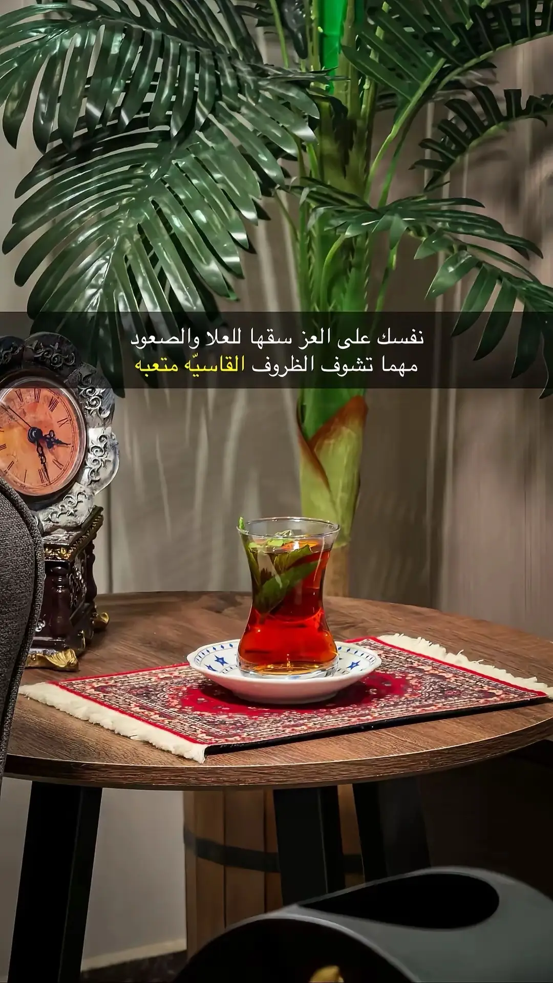 #قصائد_شعر_خواطر_غزل_مجرد_ذوق 