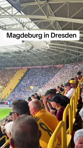 #dynamo #dresden #fyp #foryou #fyy #magdeburg #1fcm #elbclassico #derby #2bundesliga #sgdynamodresden #sgd1953 #dynamodresden #stadion 