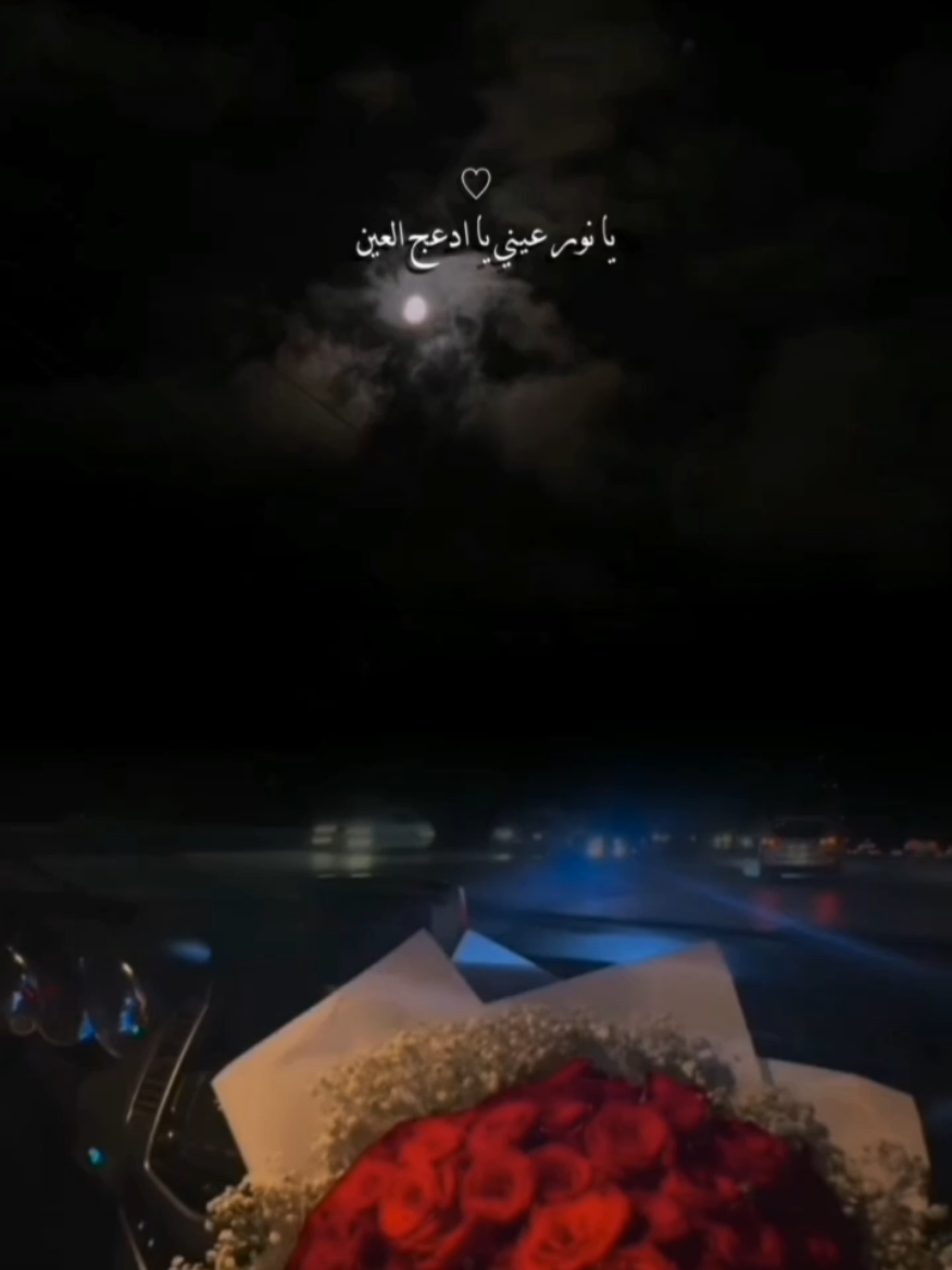 يانور عيني🥹❤ #CapCut  #يانور_عيني  #fyp #foryoupage  #مالي_خلق_احط_هاشتاقات   #اكسبلور #تصميم_فيديوهات🎶🎤🎬 