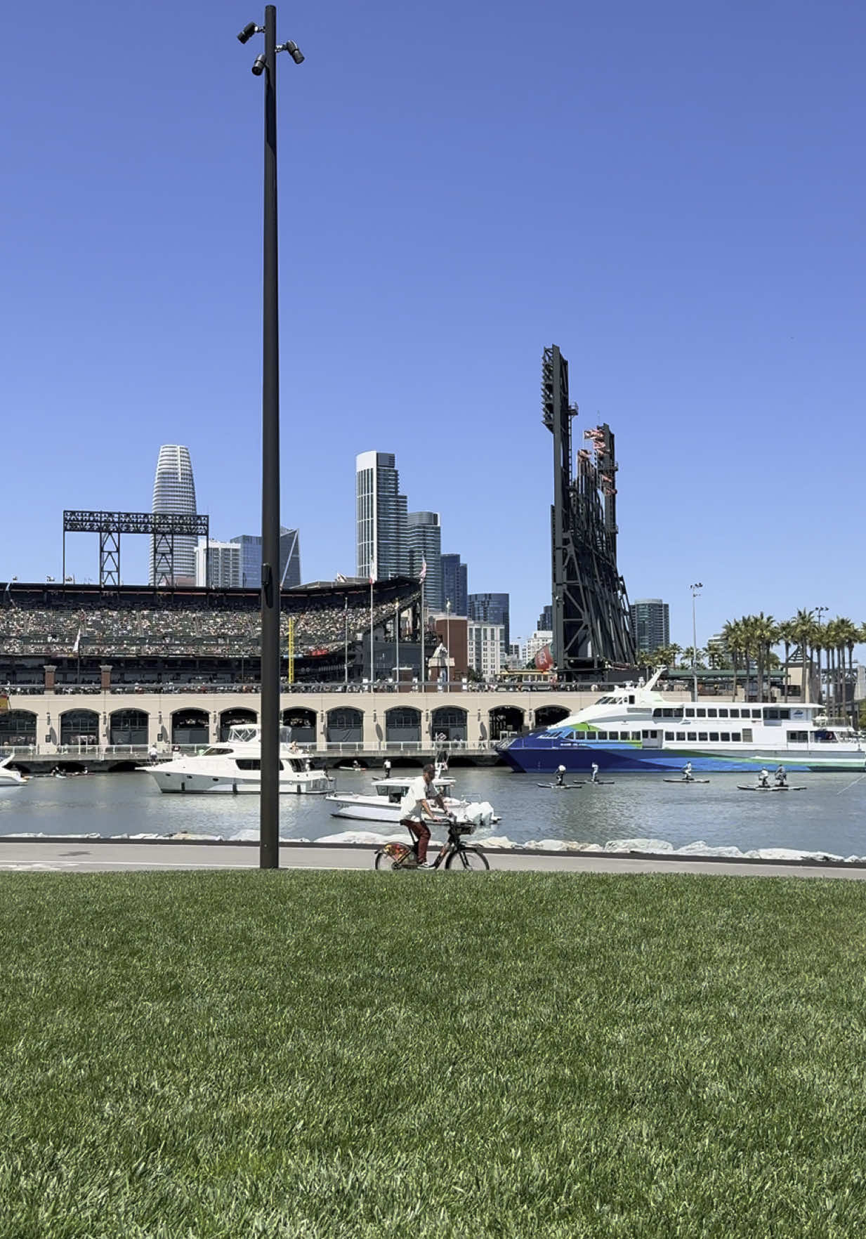We love our city. The best weather, food and everybody here loves dogs. And w’ve got the Giants right here in our backyard . . . . . #americanbullies #bulliesoftiktok #pitbulls #bully#bluestaffy #bulldogs #dogsworld #dogsoftiktok #pets #staffordshire #bulldog #germanshepherds #husky #beachtime #dogmom #goldenretreivers #goldendoodles #fyp #foryoupage #dogs #sanfrancisco #giants #sanfranciscogiants #football #bayarea 