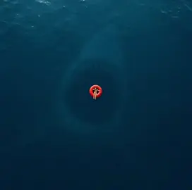 Hell to the NO! #megalodon #float #aigenerated #ocean #deepsea #shark #prehistoric #ai #terrifying #thalassaphobia  #scary #fyp #no 