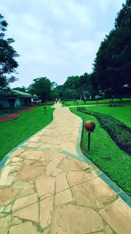 Moshi, Tanzania                             #moshi #kilimanjaro #tanzaniantiktok🇹🇿 #kenyantiktok🇰🇪 #moshi 