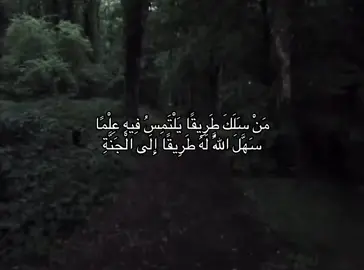 #fyp #foryou #قران_كريم #explore #fy 