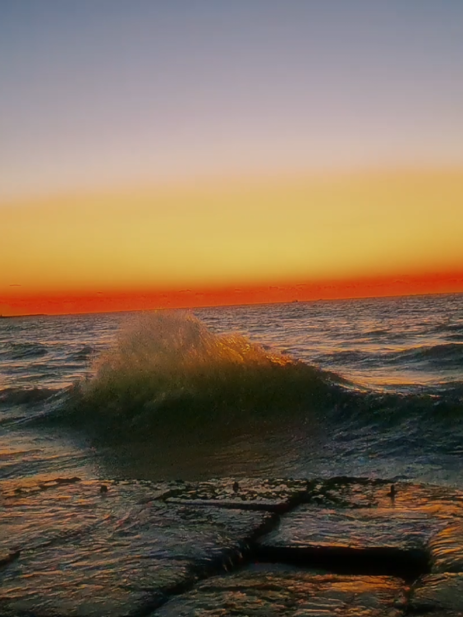 هي إسكندرية ليه ؟  #fyp #fyppppppppppppppppppppppp #fypage #fypp #explore #explorepage #like #landscape #follow #anime #photo #photography #viral #art #artist #arte #camera #cameracontrol #sea #sunset #alex #alexandria #photographer #photoshoot #اسكندريه #اسكندرية #تصوير #يومياتي #تصويري #بحر 