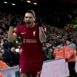 Darwin Nunez 🇺🇾 || #lfc #nunez #darwinnunez 