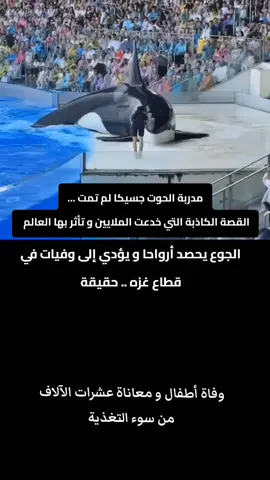 القصة الكاذبة التي خذعت العالم بسبب الذكاء الاصطناعي  #orcas #orcas #trend 