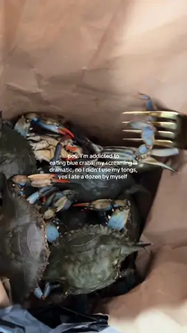 me + blue crabs 🤎 = forever #dozen for $24 at Sun Fresh Fish Market in Flatbush !  #bluecrabs #crab #seafood #viral #fyp 